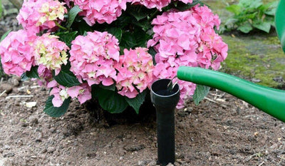 Nawadniacze do kwiatów - przydatne gadżety do podlewania roślin