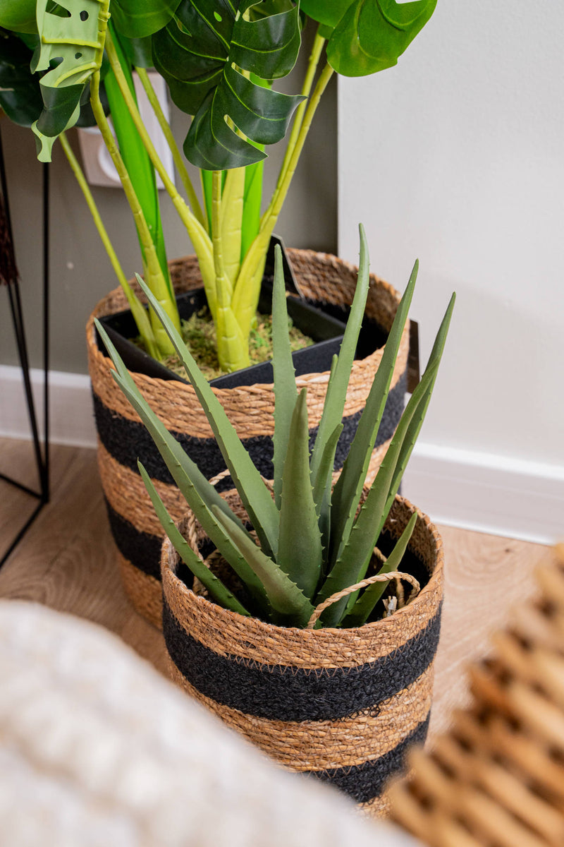 Sztuczna roślina ALOES w koszyku, 37 cm