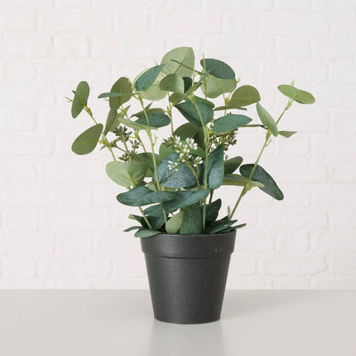 Sztuczna roślina SAGE, eukaliptus w doniczce, 30 cm