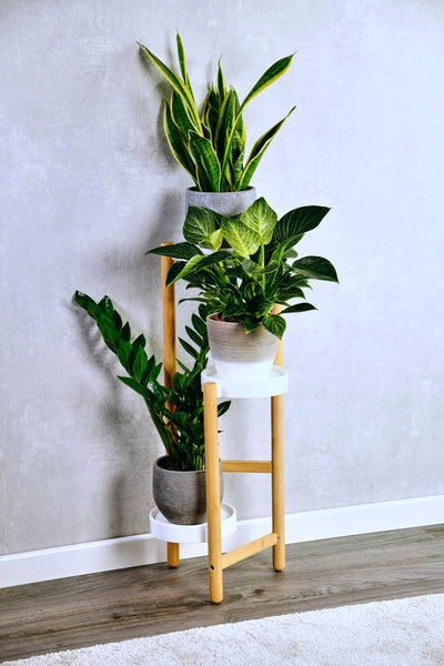 Bambusowy stojak na kwiaty z plastikowymi podstawkami