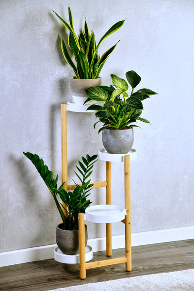 Bambusowy stojak na kwiaty z plastikowymi podstawkami