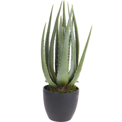 Sztuczna roślina aloes, 45 cm