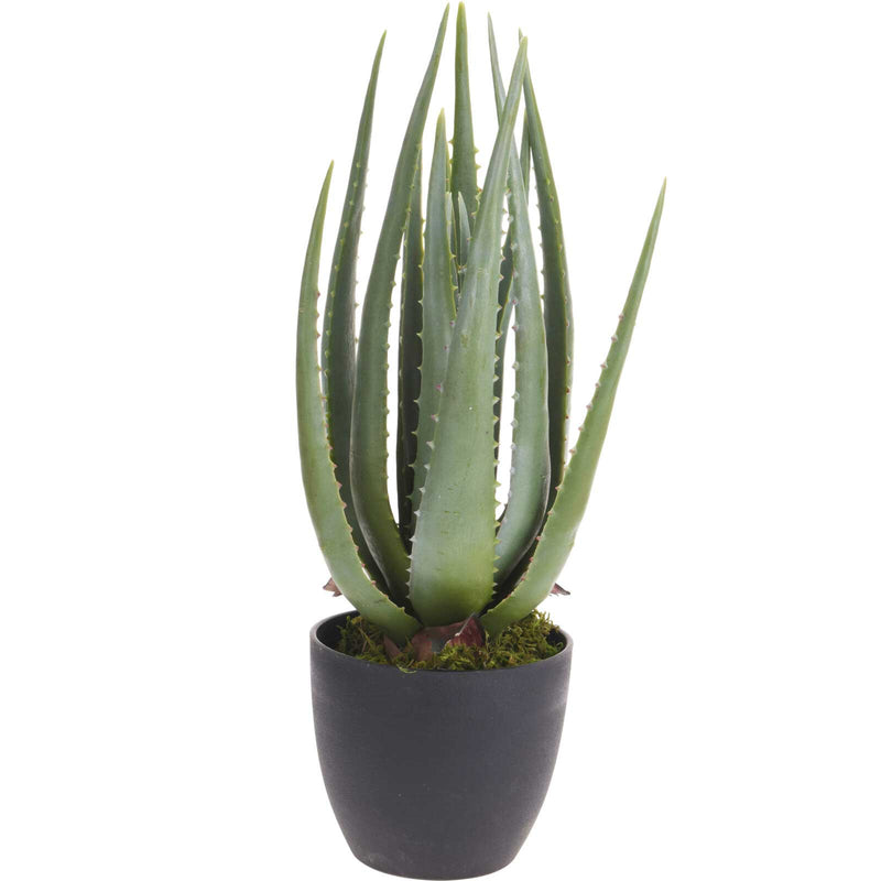 Sztuczna roślina aloes, 45 cm