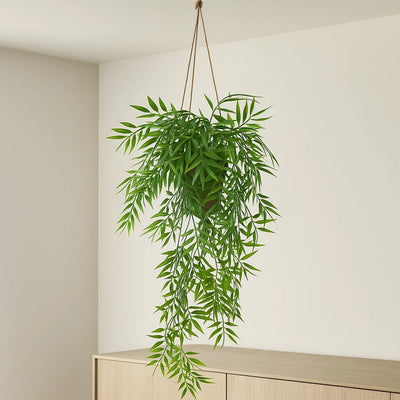 Bambus wiszący w doniczce LIORA, 67 cm