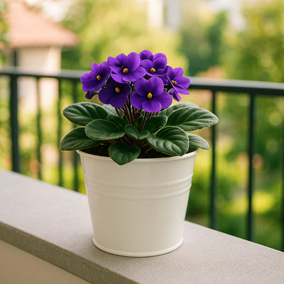 Cynkowa osłonka na doniczkę, 13 x 11 cm