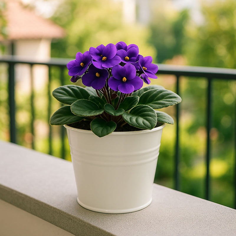 Cynkowa osłonka na doniczkę, 13 x 11 cm