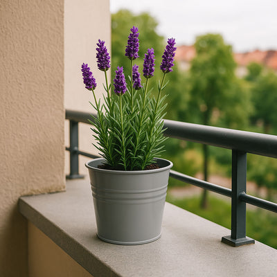 Cynkowa osłonka na doniczkę, 13 x 11 cm