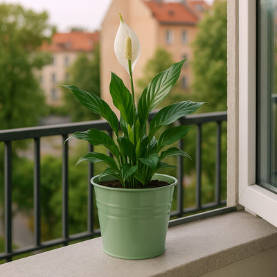 Cynkowa osłonka na doniczkę, 13 x 11 cm