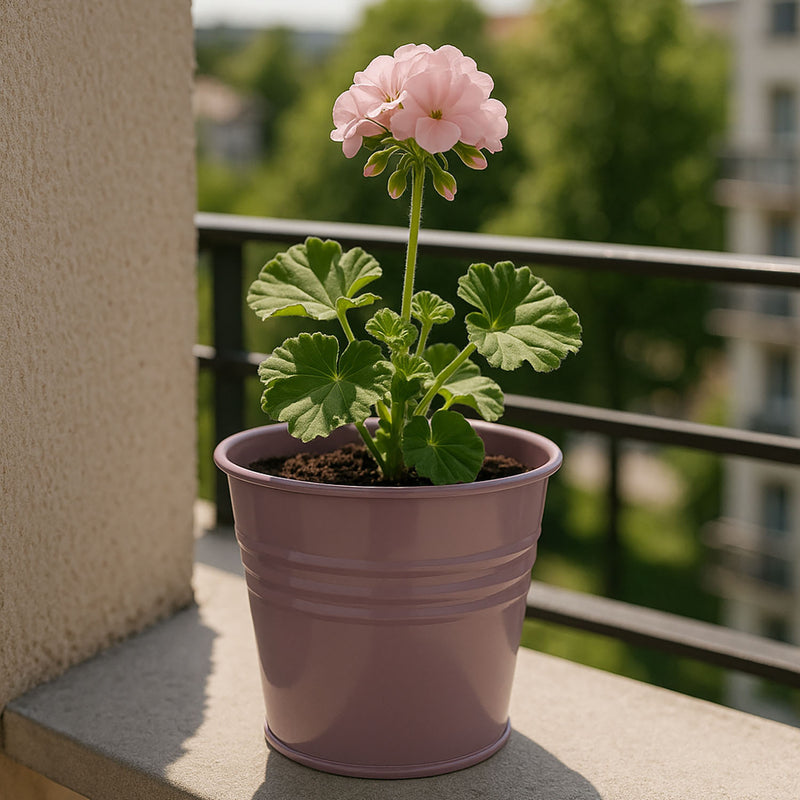 Cynkowa osłonka na doniczkę, 13 x 11 cm