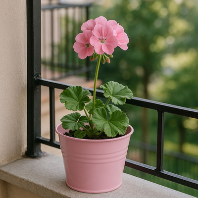 Cynkowa osłonka na doniczkę, 13 x 11 cm