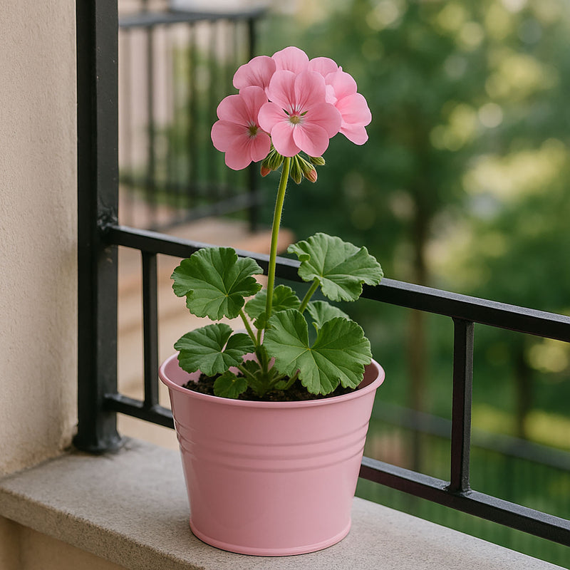 Cynkowa osłonka na doniczkę, 13 x 11 cm