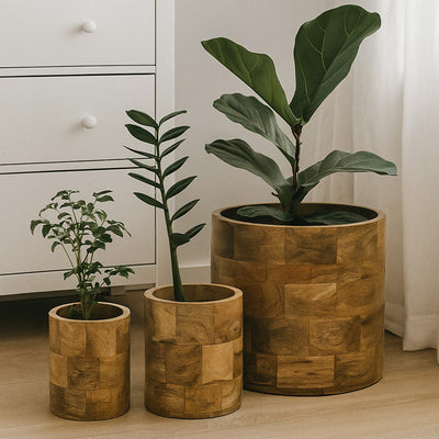 Osłonki na doniczki OLLI z drewna mango, 3 sztuki