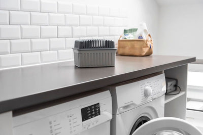 Pochłaniacz wilgoci 1 kg