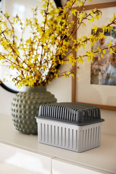 Pochłaniacz wilgoci 1 kg