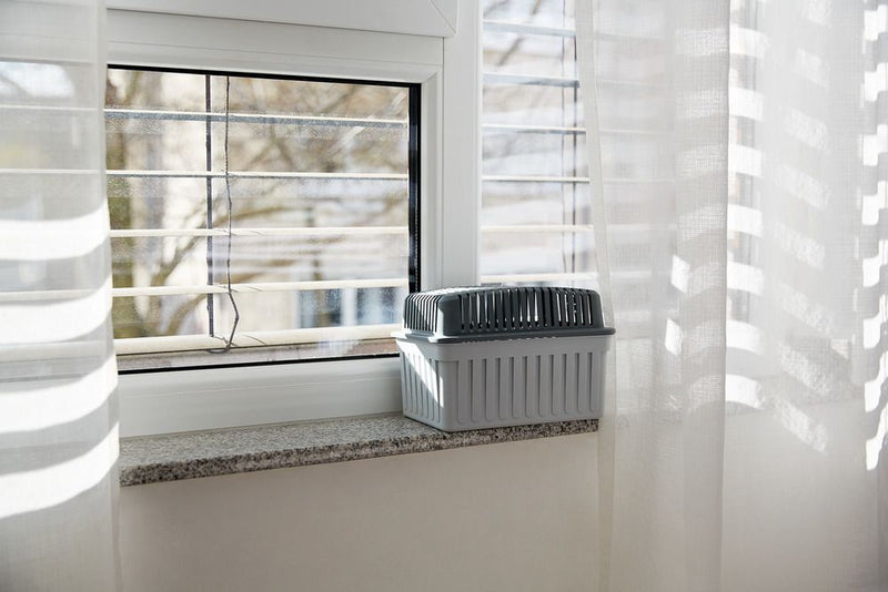 Pochłaniacz wilgoci 1 kg