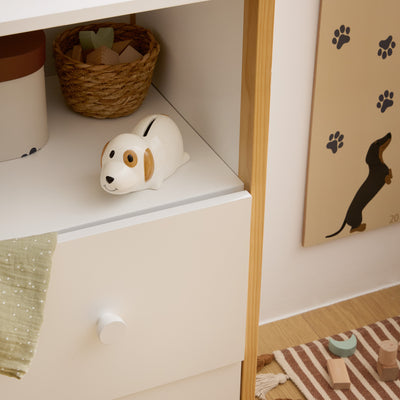 Skarbonka piesek SCOTT, 15 x 8 x 7 cm