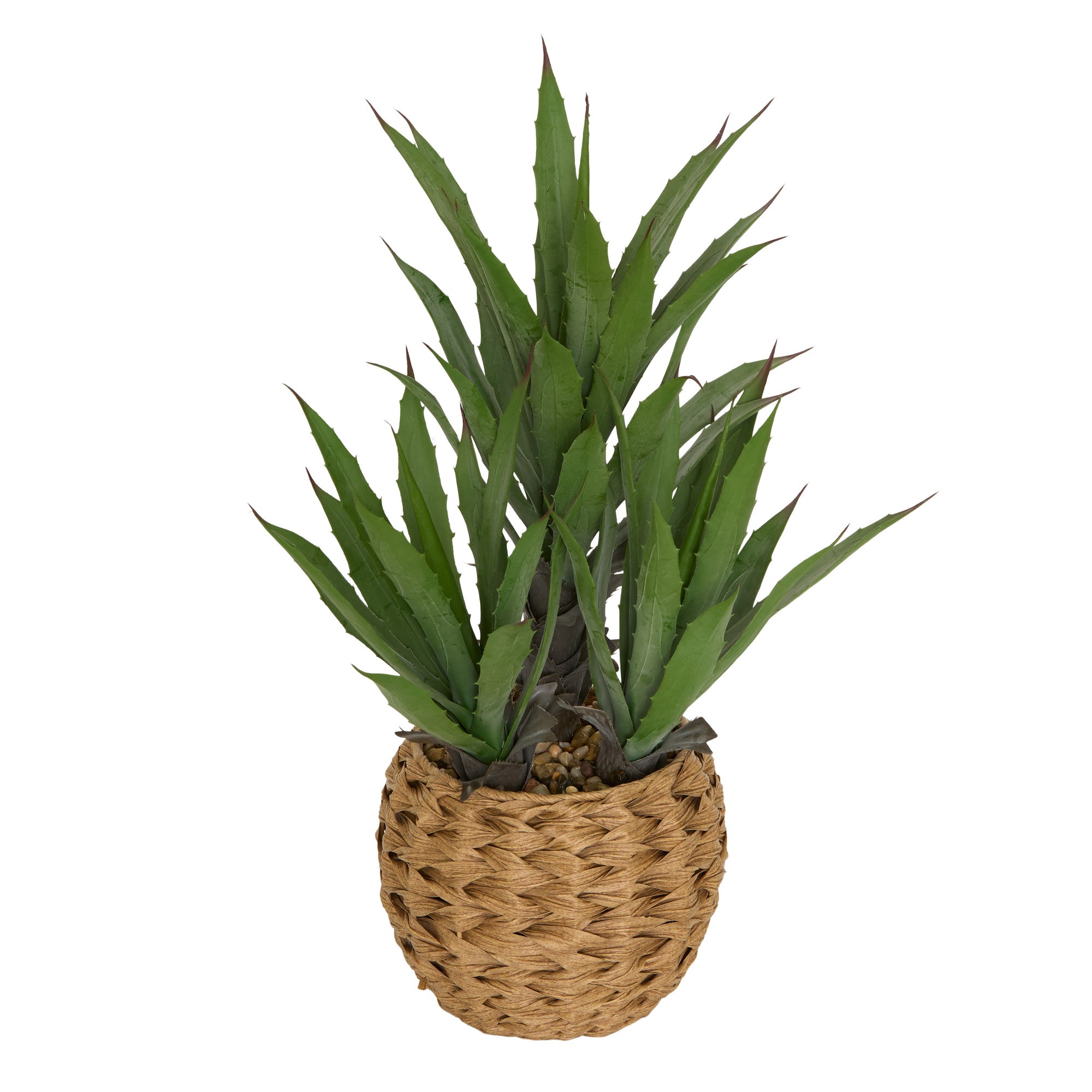Sztuczna agawa MODA w plecionej doniczce, wys. 61 cm