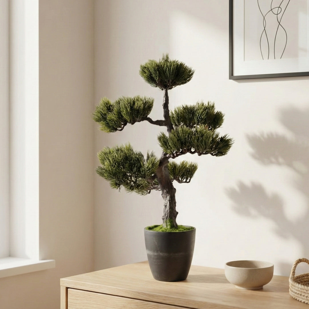 palmenerde für bambus Bambus für den Balkon kaufen – Green Me Up main image 1