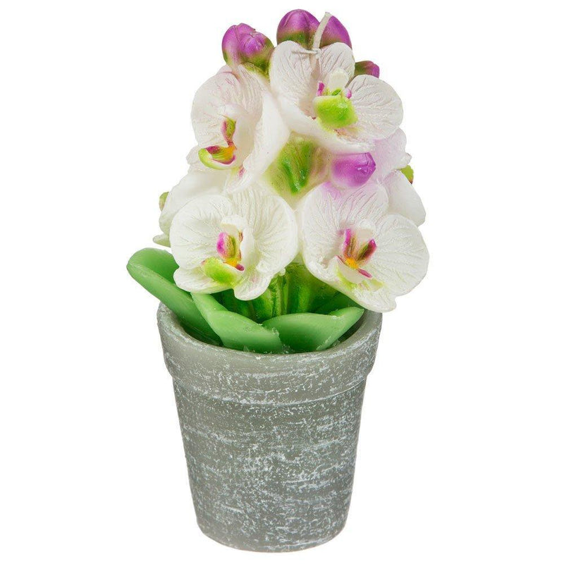 Świeca dekoracyjna Orchidea w donicy, 14 cm, kolor biały