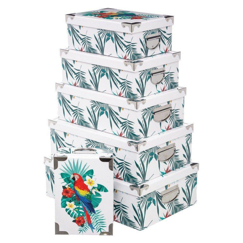 Komplet pudełek kartonowych TROPICAL, 6 rozmiarów, motyw papugi