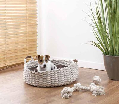 Zabawka dla psa, sznurek z węzłami, 48 cm, kolor naturalny