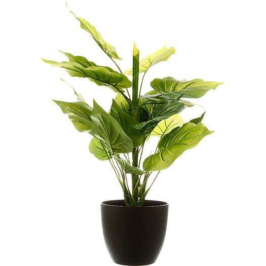 Sztuczna roślina ozdobna, 45 cm, naturalna w dotyku