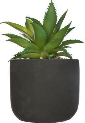 Sztuczna roślina ozdobna AGAWA, 20 cm, czarna doniczka