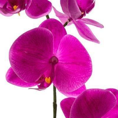 Sztuczna roślina w doniczce STORCZYK, 43 cm, fioletowa orchidea