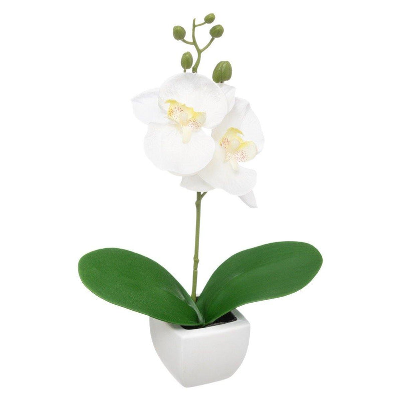 Sztuczna roślina w doniczce STORCZYK, 23,5 cm, biała orchidea