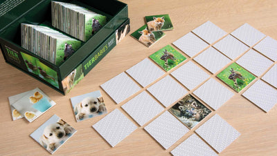 Gra pamięciowa memory ANIMAL BABIES, 44 pary kart, REMEMBER