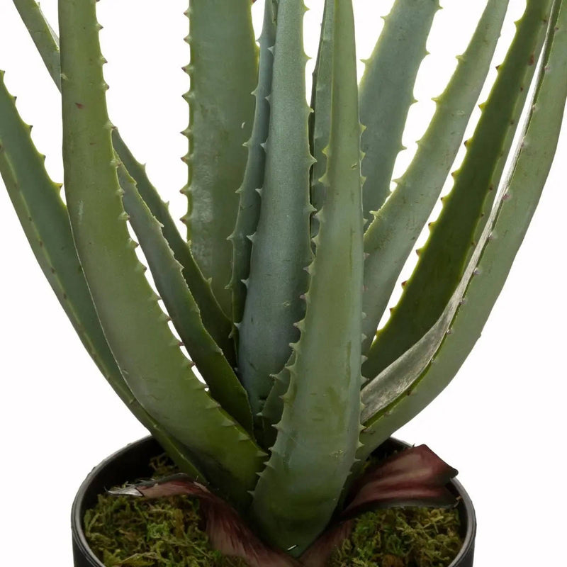 Sztuczny aloes REAL TOUCH, wys. 44 cm