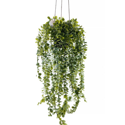 Sztuczna roślina wisząca SENECIO, 60 cm