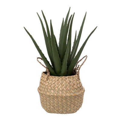 Sztuczna roślina ALOES w koszyku, 37 cm