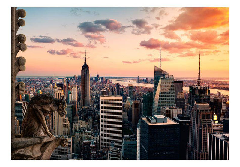 Fototapeta samoprzylepna - Nowy Jork: wieżowce i zachód słońca