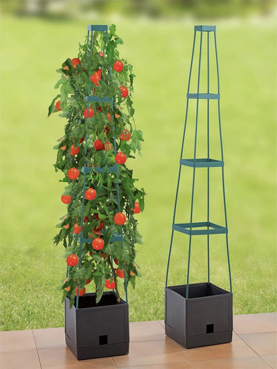 Doniczka z podporami do uprawy pomidorów, roślin pnących, 150 cm